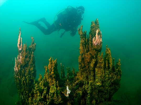 Underwater fairy chimneys of Turkiye's Lake Van