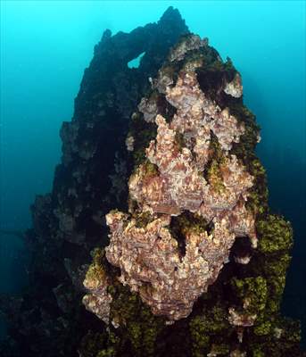 Underwater fairy chimneys of Turkiye's Lake Van