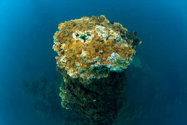Underwater fairy chimneys of Turkiye's Lake Van