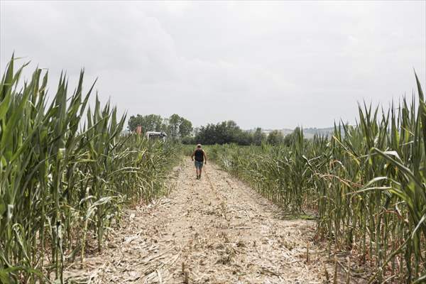 Drought emergency in Piedmont, Italy