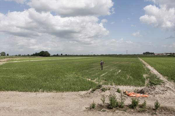 Drought emergency in Piedmont, Italy