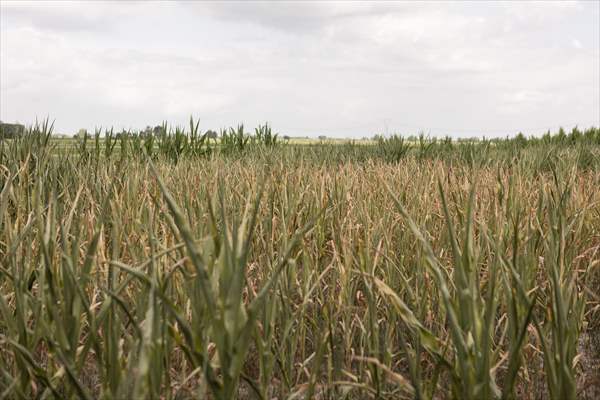 Drought emergency in Piedmont, Italy