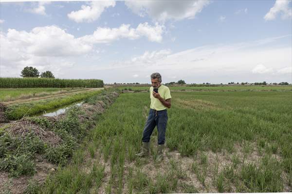 Drought emergency in Piedmont, Italy