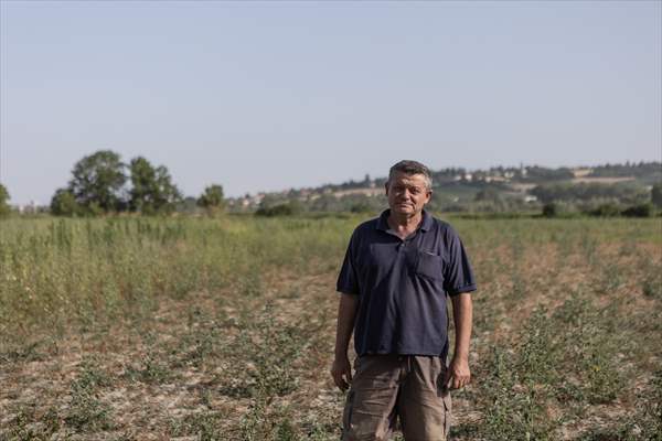 Drought emergency in Piedmont, Italy