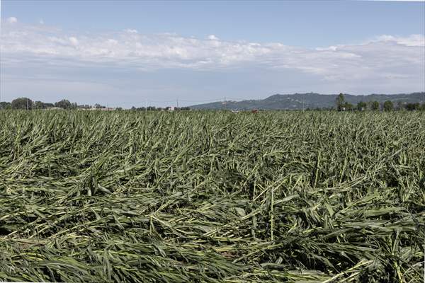 Drought emergency in Piedmont, Italy