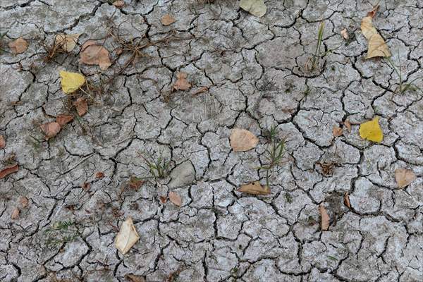 Drought emergency in Piedmont, Italy