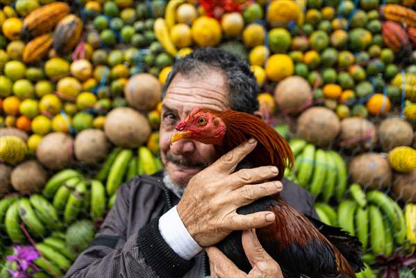 Corpus Christi celebrations in Colombia