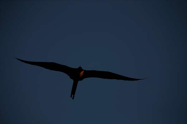 Pollution in the waters of Guanabara Bay in Rio de Janeiro