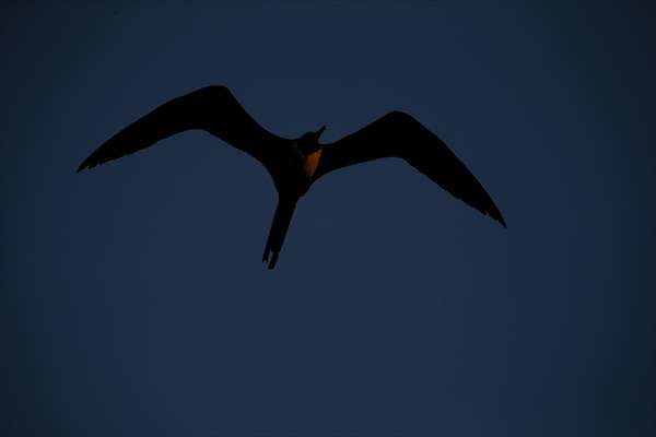 Pollution in the waters of Guanabara Bay in Rio de Janeiro