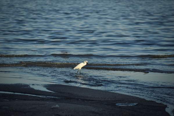 Pollution in the waters of Guanabara Bay in Rio de Janeiro