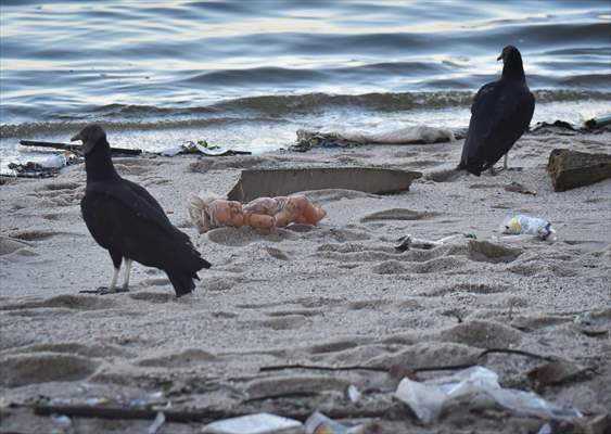 Pollution in the waters of Guanabara Bay in Rio de Janeiro