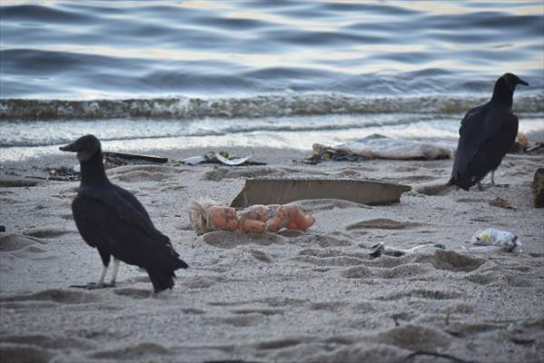 Pollution in the waters of Guanabara Bay in Rio de Janeiro