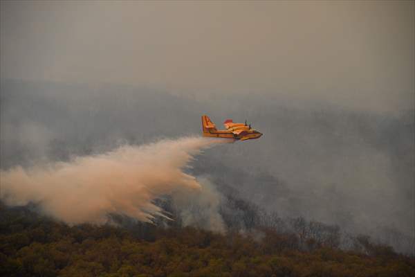 Forest fire in northern Morocco not yet under control