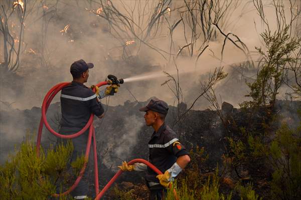 Forest fire in northern Morocco not yet under control