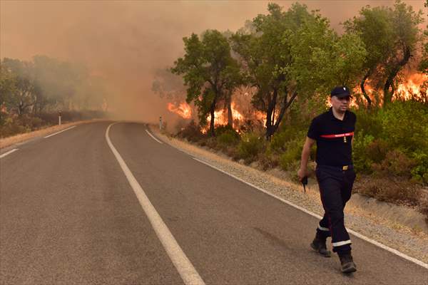 Forest fire in northern Morocco not yet under control