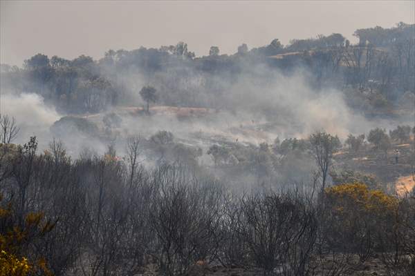 Forest fire in northern Morocco not yet under control