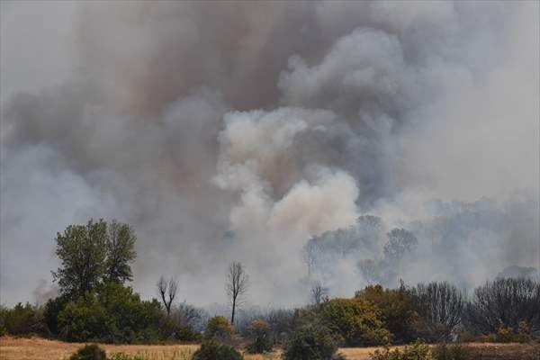 Forest fire in northern Morocco not yet under control