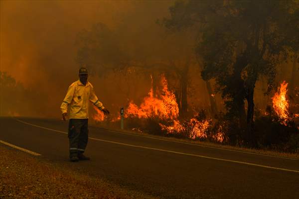 Forest fire in northern Morocco not yet under control