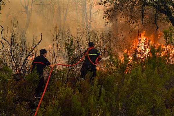 Forest fire in northern Morocco not yet under control