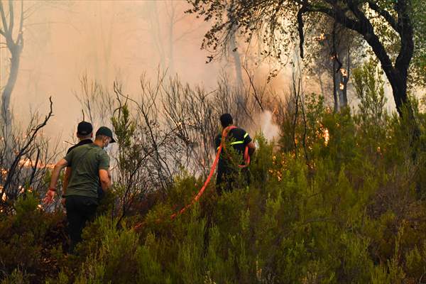 Forest fire in northern Morocco not yet under control