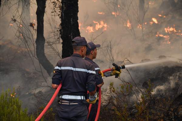 Forest fire in northern Morocco not yet under control