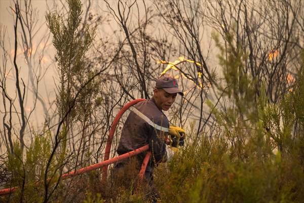 Forest fire in northern Morocco not yet under control