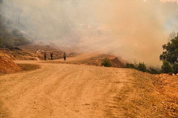 Forest fire in northern Morocco not yet under control