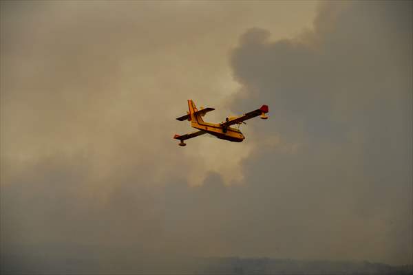 Forest fire in northern Morocco not yet under control