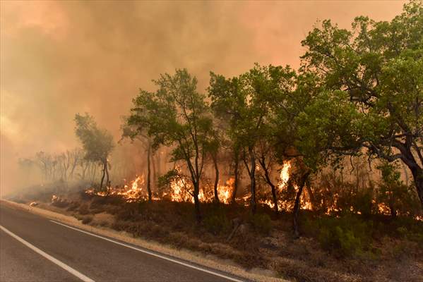 Forest fire in northern Morocco not yet under control