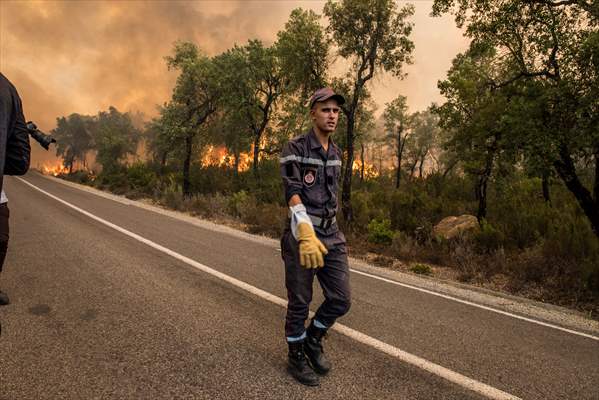 Forest fire in northern Morocco not yet under control