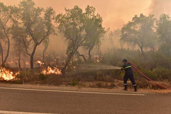 Forest fire in northern Morocco not yet under control