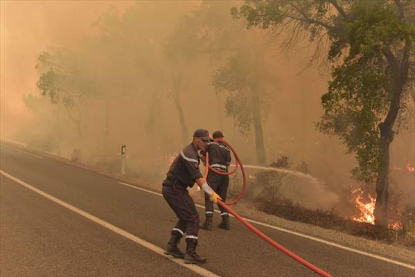 Forest fire in northern Morocco not yet under control