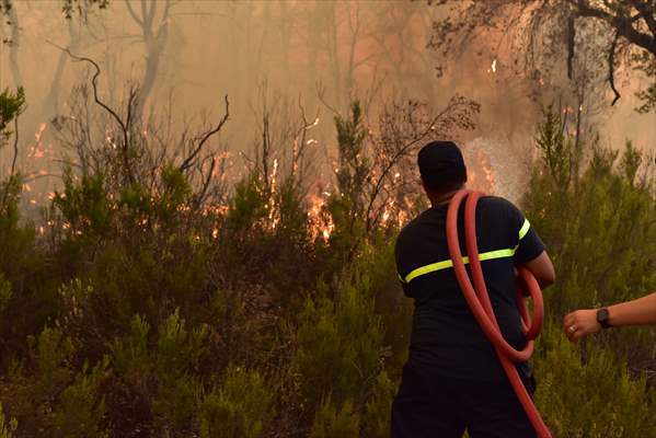 Forest fire in northern Morocco not yet under control