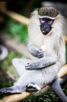 Abuja National Children's Park and Zoo in Nigeria