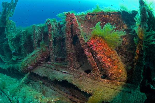 Shipwreck of Royal Navy's HMS Majestic in Gallipoli