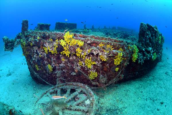 Shipwreck of Royal Navy's HMS Majestic in Gallipoli