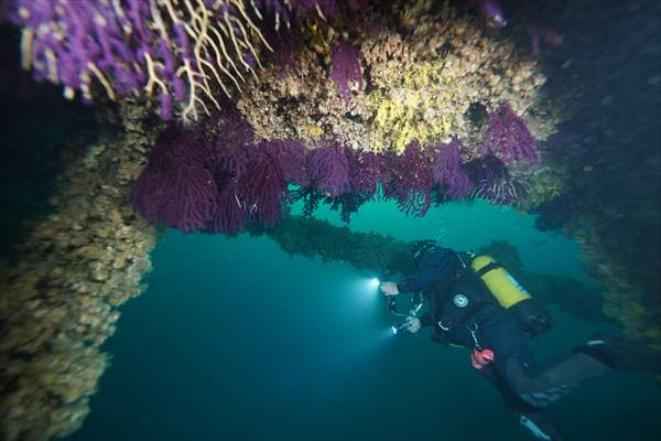 Shipwreck of Royal Navy's HMS Majestic in Gallipoli