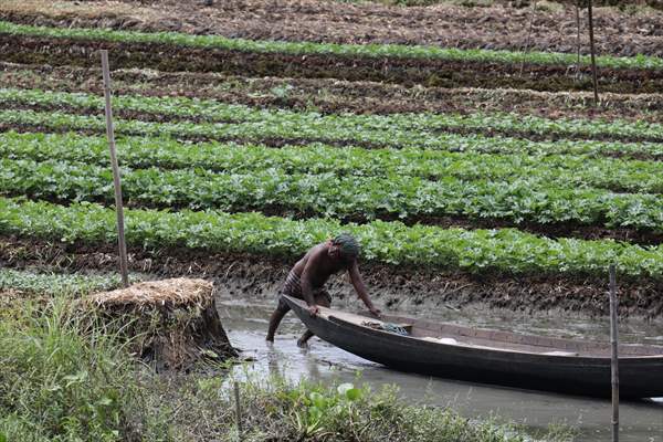 Floating Vegetable Garden: Adapting Climate Change