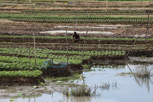 Floating Vegetable Garden: Adapting Climate Change