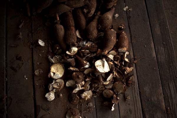 International Day of Indigenous Peoples in Rio de Janeiro Brazil