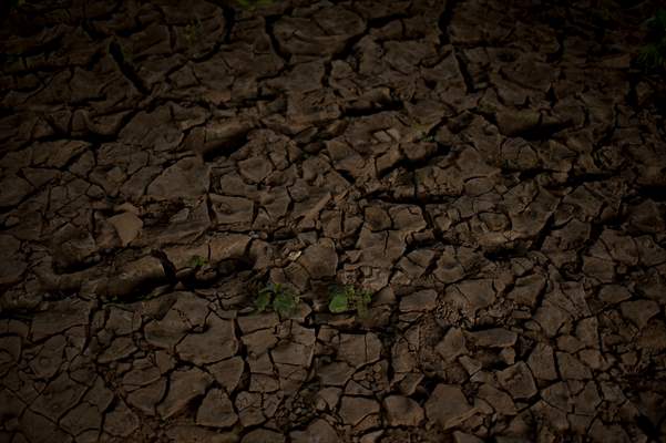 International Day of Indigenous Peoples in Rio de Janeiro Brazil