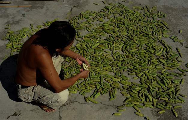 International Day of Indigenous Peoples in Rio de Janeiro Brazil