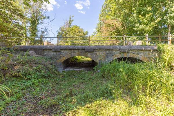 Source of River Thames dries out due to drought