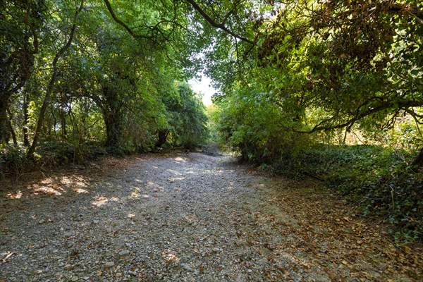 Source of River Thames dries out due to drought