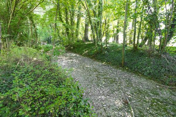 Source of River Thames dries out due to drought