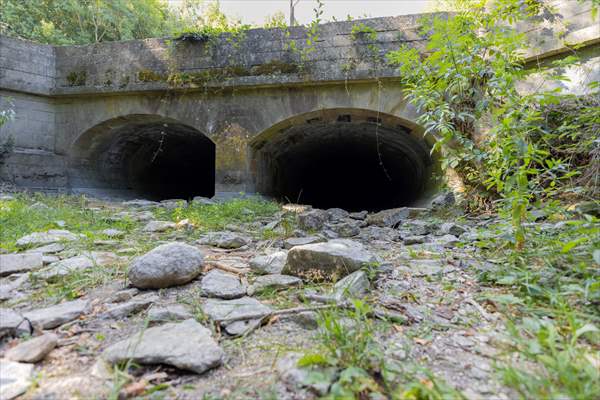 Source of River Thames dries out due to drought