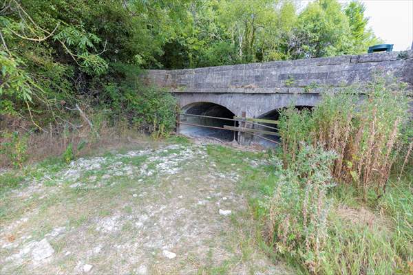 Source of River Thames dries out due to drought