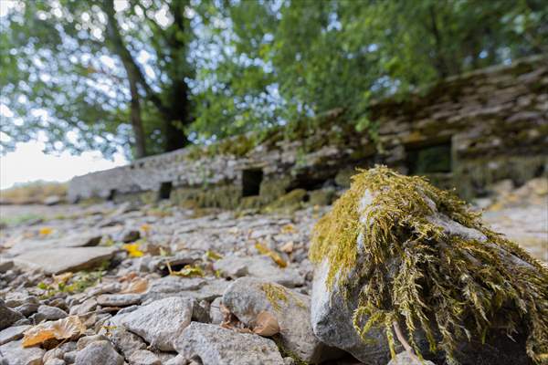 Source of River Thames dries out due to drought