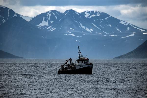 Climate Change melts ice and glaciers in Arctic