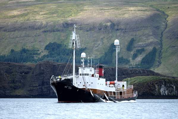 Whaling station in the village of Midsandur, Iceland